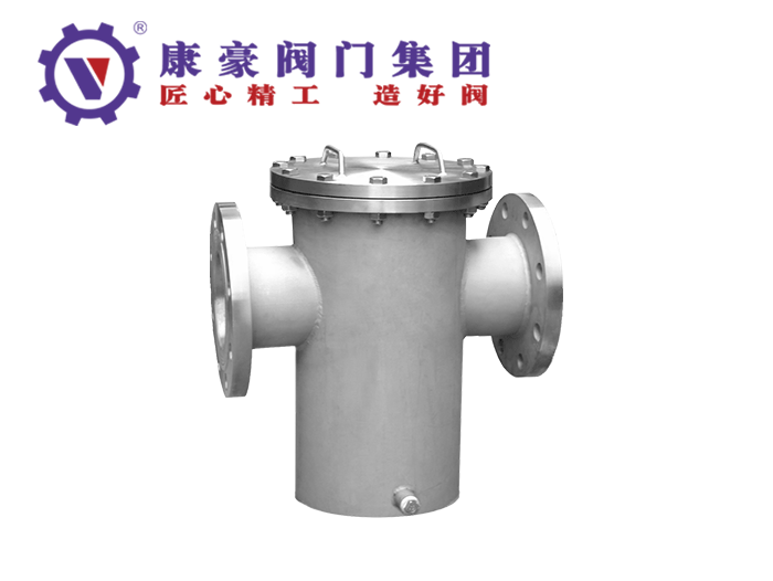 不銹鋼藍(lán)式直通過濾器